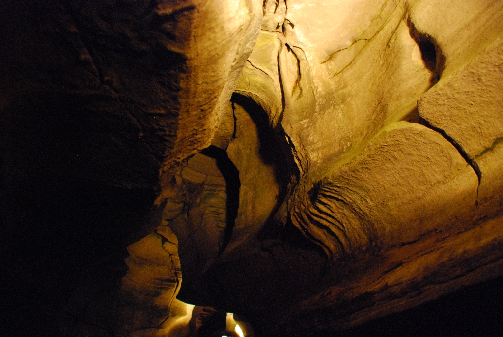 DSC_1081.JPG
